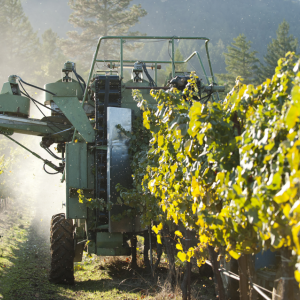 Машины для сбора винограда