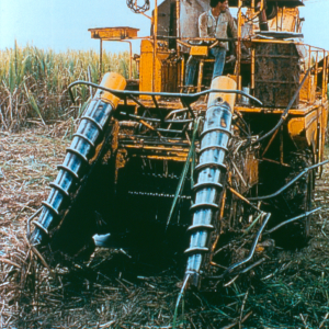 Машины для сбора сахарного тростника