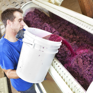 Виноградные прессы